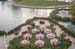 Spring 2007153